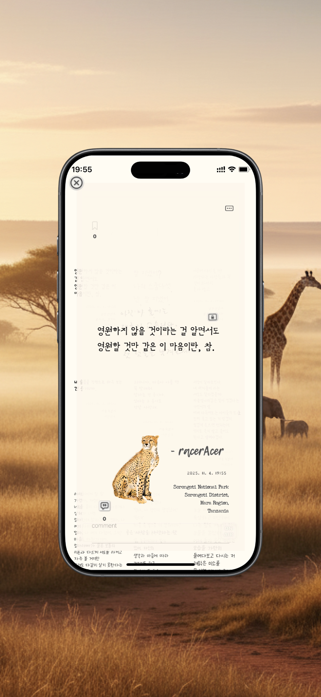 Safari preview